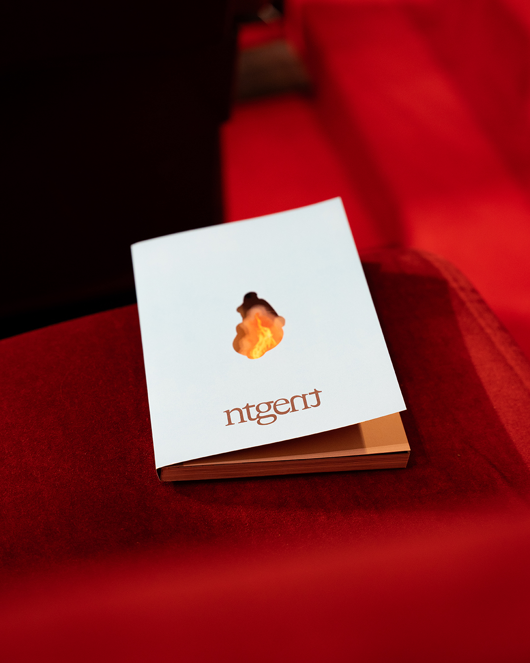 NTGENT book